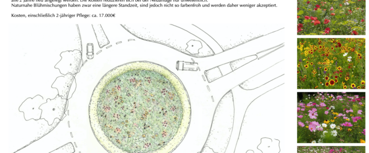 Umfrage zur Kreiselgestaltung wird fortgesetzt