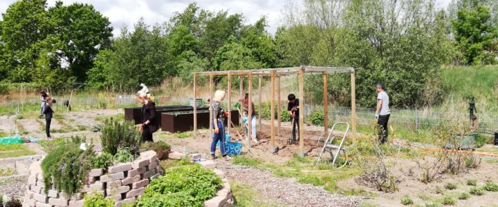 Gartenprojekt sucht Mitstreiter Gartenprojekt sucht Mitstreiter
