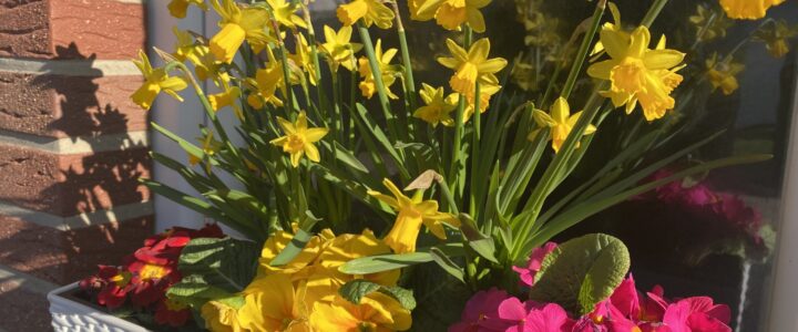 Frohe Ostern Frohe Ostern