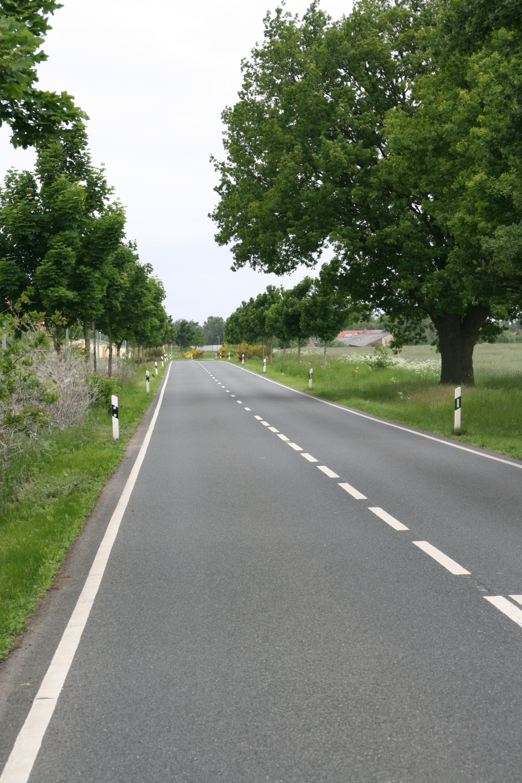 Bushaltestellen in Twenge werden barrierefrei umgebaut – Vollsperrung der Straße Altenhorst Bushaltestellen in Twenge werden barrierefrei umgebaut – Vollsperrung der Straße Altenhorst