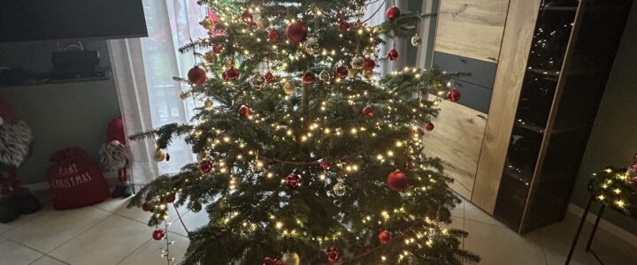 Abholung der Weihnachtsbäume Abholung der Weihnachtsbäume